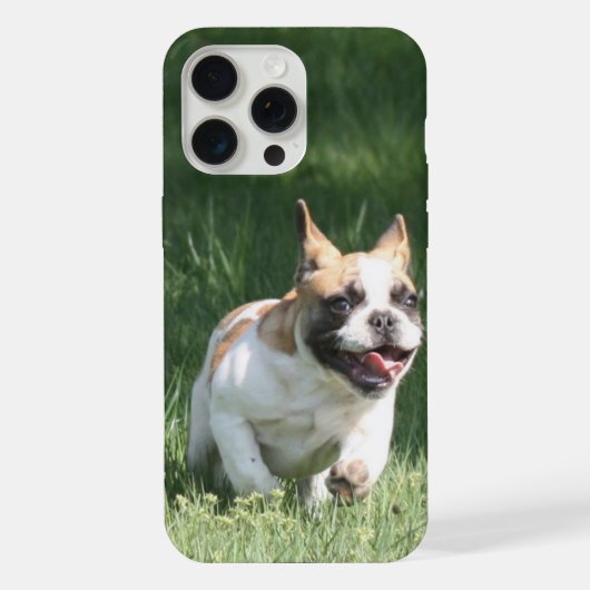 Französische Bulldogge Wettrennen French Bulldog iPhoneケース (裏面)