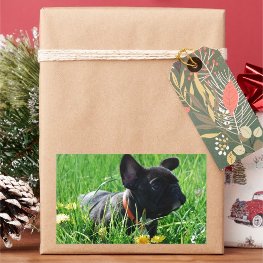 Französische Bulldogge Wiese French Bulldog 長方形シール (クリスマス)