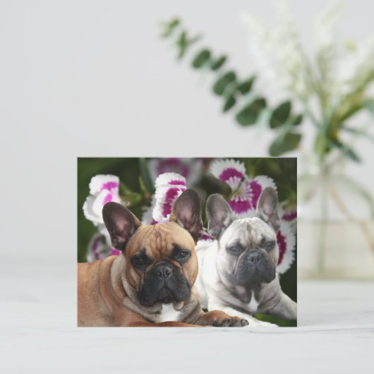 Französische Bulldogge zwei Freunde French Bulldog 招待状 (スタンド正面)