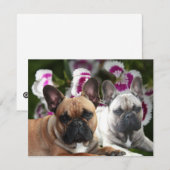 Französische Bulldogge zwei Freunde French Bulldog 招待状 (正面/裏面)