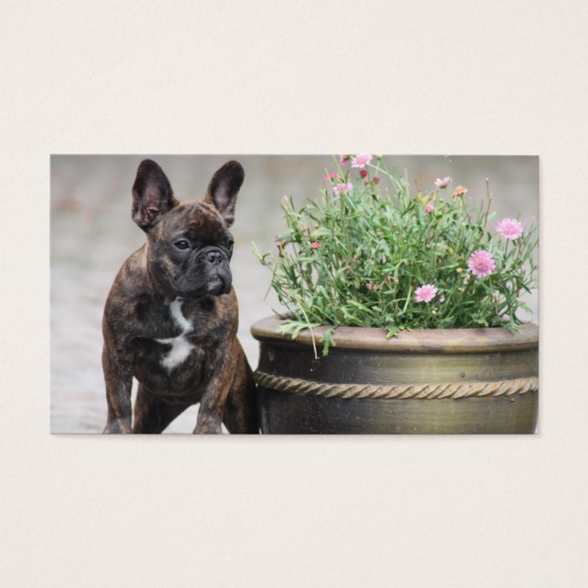 Französische Bulldoggen Blumentopf French Bulldog (正面)