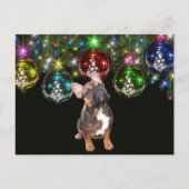 französische Bulldoggen Christmas French Bulldog ポストカード (正面)