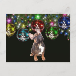  französische Bulldoggen Christmas French Bulldog ポストカード