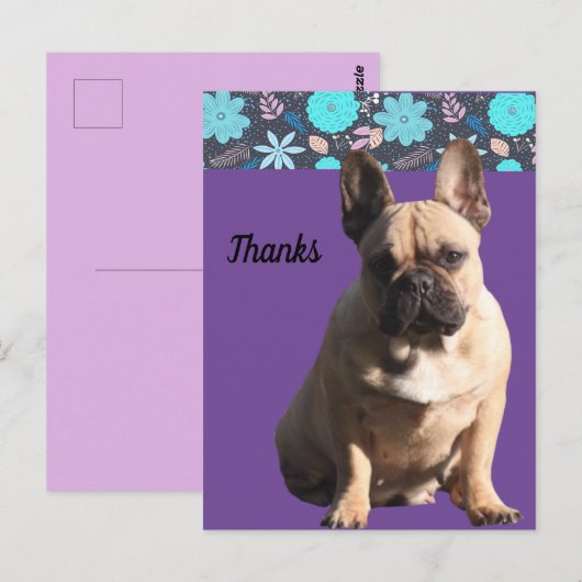  französische Bulldoggen Dankeschön French Bulldog ポストカード (正面/裏面)