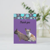  französische Bulldoggen Dankeschön French Bulldog ポストカード (スタンド正面)