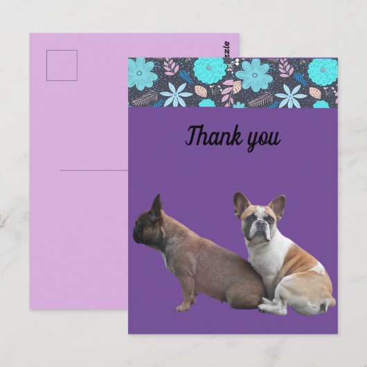  französische Bulldoggen Dankeschön French Bulldog ポストカード (正面/裏面)