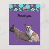  französische Bulldoggen Dankeschön French Bulldog ポストカード (正面)