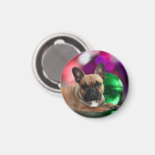 Französische Bulldoggen farbig French bulldog マグネット (正面/裏面)