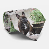 Französische Bulldoggen Freunde French Bulldog ネクタイ (ロール)