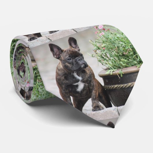Französische Bulldoggen Freunde French Bulldog ネクタイ (ロール)