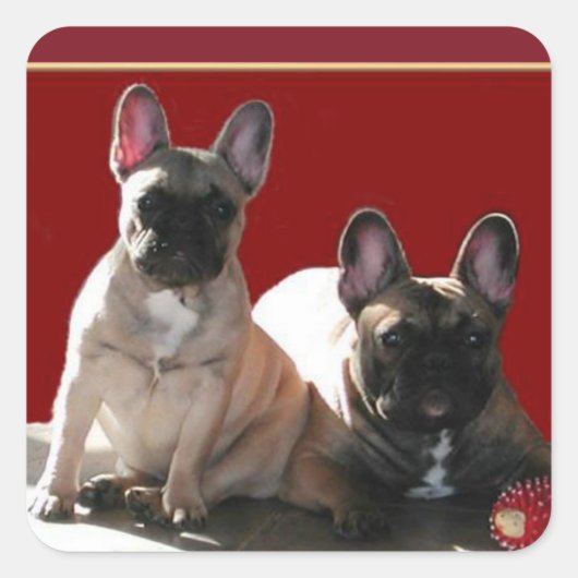Französische Bulldoggen Friends French Bulldog スクエアシール (正面)