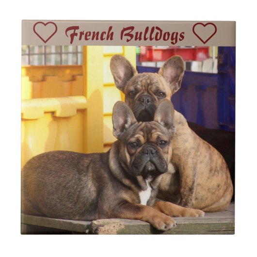 Französische Bulldoggen Friends French Bulldog タイル (正面)