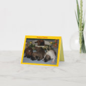 Französische Bulldoggen Grußkarte Ostern カード (正面)