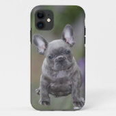 Französische Bulldoggen IPhone 11 Pad Hülle Case-Mate iPhoneケース (裏面)