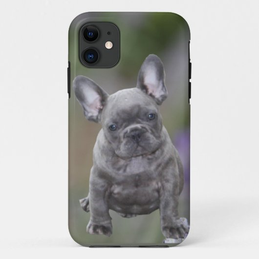 Französische Bulldoggen IPhone 11 Pad Hülle Case-Mate iPhoneケース (裏面)