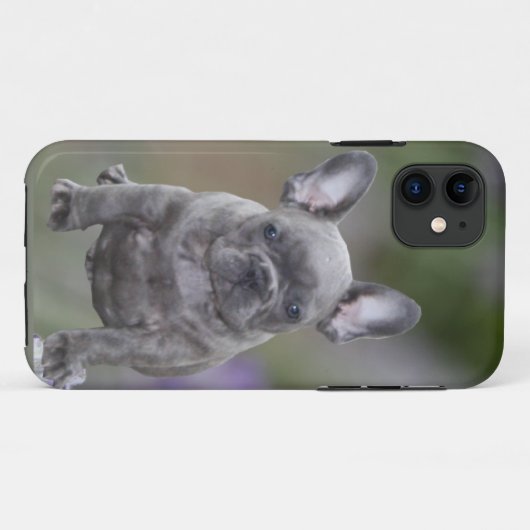 Französische Bulldoggen IPhone 11 Pad Hülle Case-Mate iPhoneケース (裏面(横))