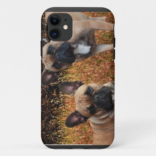 Französische Bulldoggen IPhone 5 Case Made Case-Mate iPhoneケース (裏面)