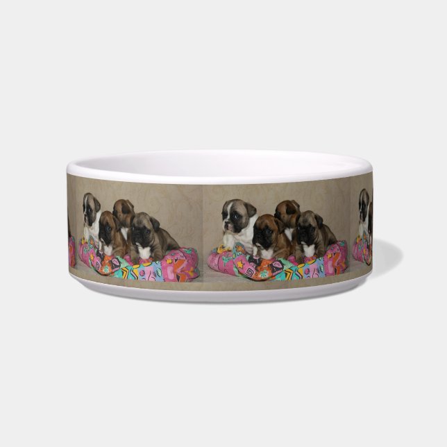 Französische Bulldoggen Kissen French Bulldog ボウル (正面)