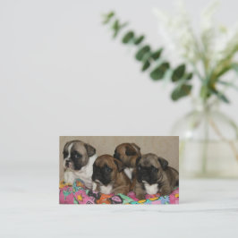 Französische Bulldoggen Kissen French Bulldog 名刺