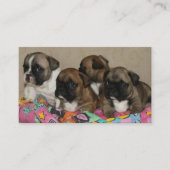 Französische Bulldoggen Kissen French Bulldog 名刺 (正面)