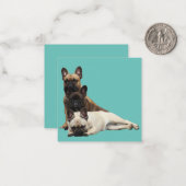  französische Bulldoggen Mitteilungskarte ノートカード (正面/裏面インサイチュ)