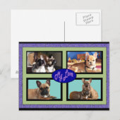 Französische Bulldoggen My Love French Bulldog ポストカード (正面/裏面)