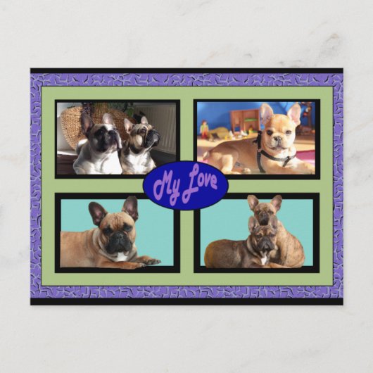 Französische Bulldoggen My Love French Bulldog ポストカード (正面)
