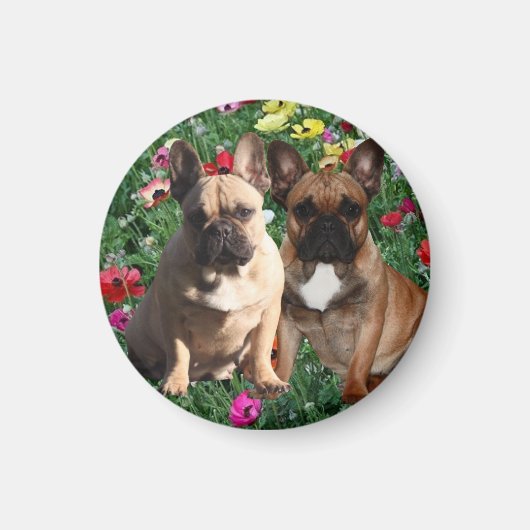 Französische Bulldoggen Ostern French Bulldog マグネット (正面)