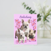 Französische Bulldoggen Schmetterling Bulldog ポストカード (スタンド正面)