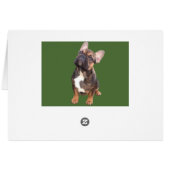 Französische Bulldoggen Weihnachtskarte (裏面横)