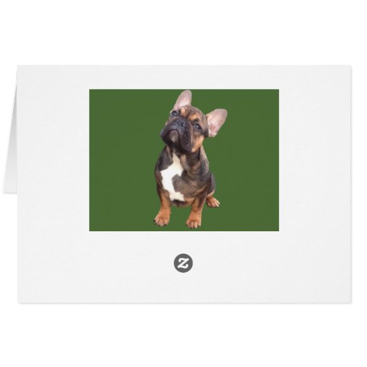 Französische Bulldoggen Weihnachtskarte (裏面横)