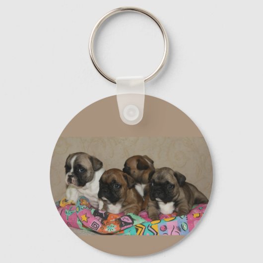 Französische Bulldoggen Welpen Schlüsselanhänger キーホルダー (正面)