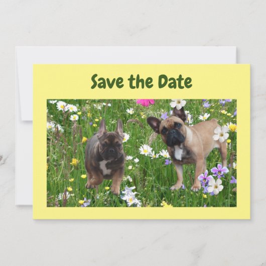Französische. Bulldoggen Wiese French Bulldog 招待状 (正面)