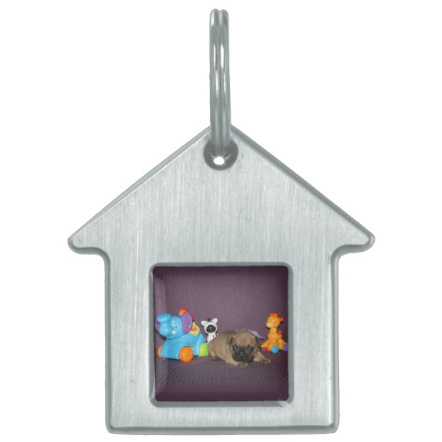 Französischen Bulldoggen kleiner Welpe Bulldog ペットネームタグ (正面)