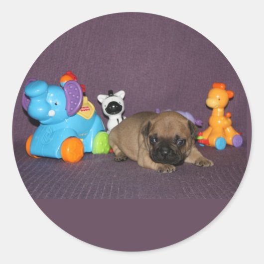Französischen Bulldoggen kleiner Welpe Bulldog ラウンドシール (正面)