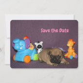 Französischen Bulldoggen kleiner Welpe Bulldog 招待状 (正面)