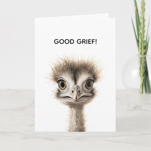 FRAZZLED BELATED BIRTHDAY CARD サンキューカード (正面)