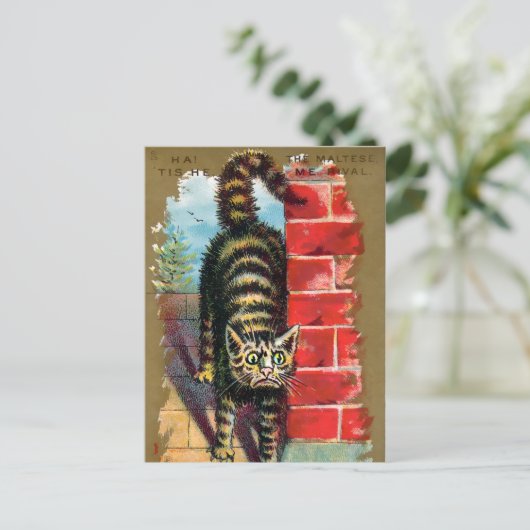 Frears Cat Trade Card #2 (of 6) ポストカード (スタンド正面)