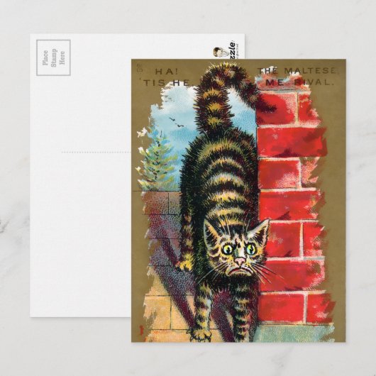 Frears Cat Trade Card #2 (of 6) ポストカード (正面/裏面)