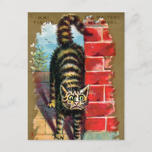 Frears Cat Trade Card #2 (of 6) ポストカード (正面)