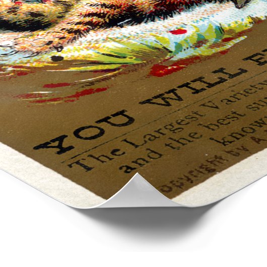 Frears Cat Trade Card #4 (of 6) ポスター (角)