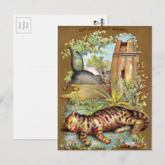 Frears Cat Trade Card #5 (of 6) ポストカード (正面/裏面)