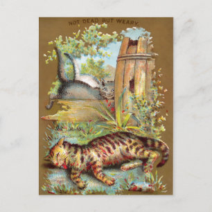 Frears Cat Trade Card #5 (of 6) ポストカード