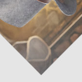 Fred is Amused, Catカー遊ド 薄葉紙 (詳細)