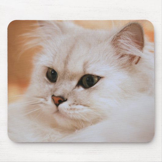 Freddie素晴らしいマウスパッド マウスパッド (正面)