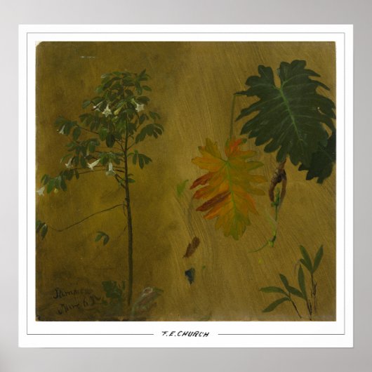 Frederic Edwin Church Fine Art #48 ポスター (正面)