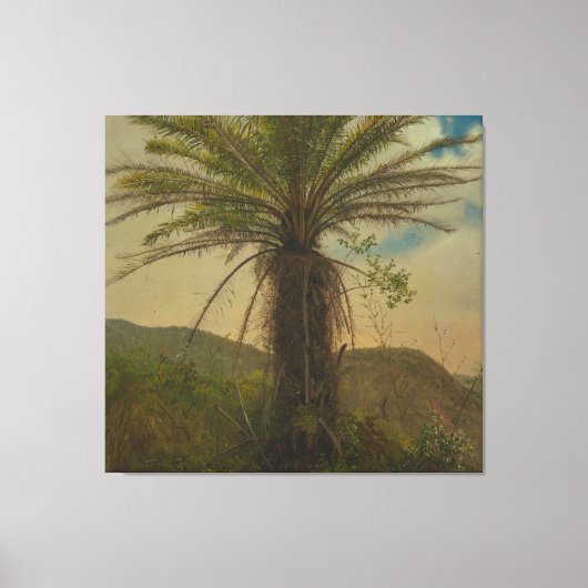 Frederic Edwin Church - Tree Fern, Jamaica キャンバスプリント (正面)