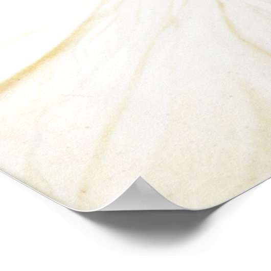 Frederic Leighton Pavonia Poster ポスター (角)