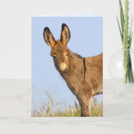 "Free to Roam" – グリーティングカード