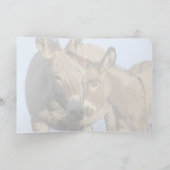 "Free to Roam" – グリーティングカード (内部)